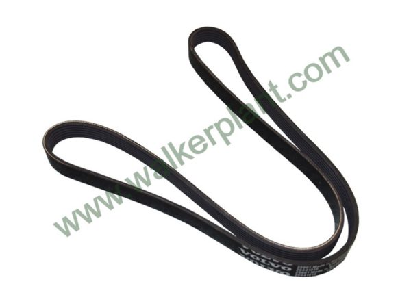 Volvo Multi Ribbed Belt