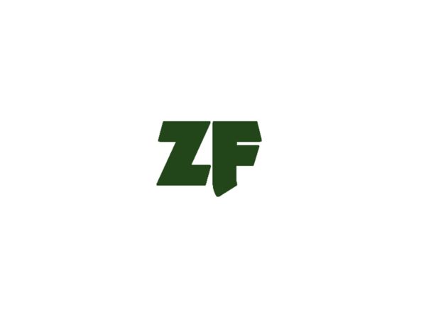 ZF Transmission Parts Various