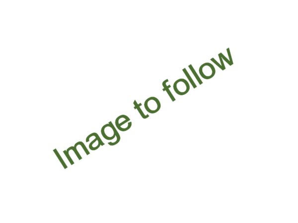 Volvo Differential Used