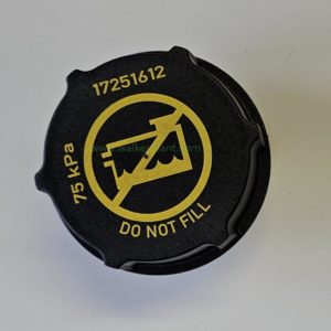 Volvo Pressure Cap