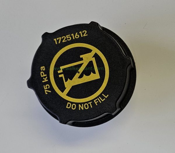 Volvo Pressure Cap