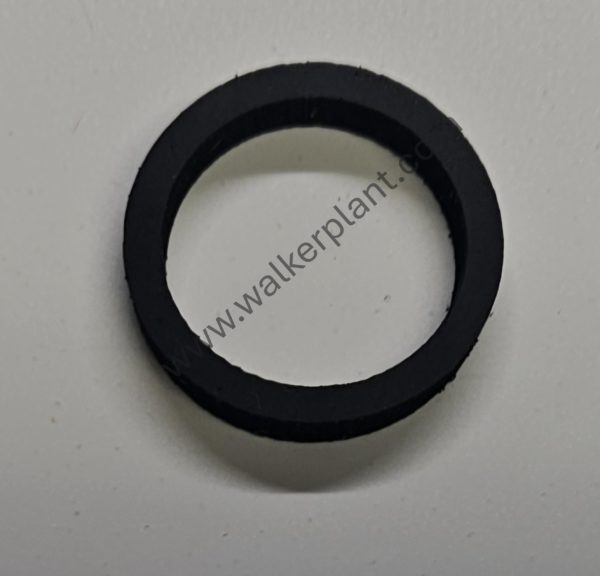 Volvo Sealing Ring