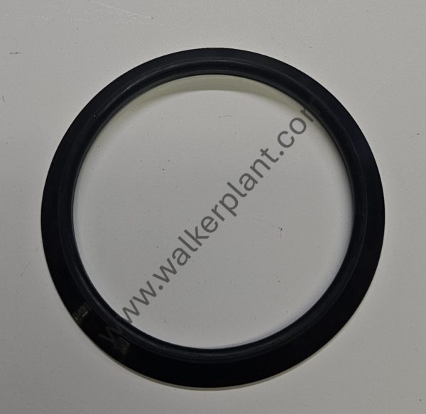 Volvo Sealing Ring
